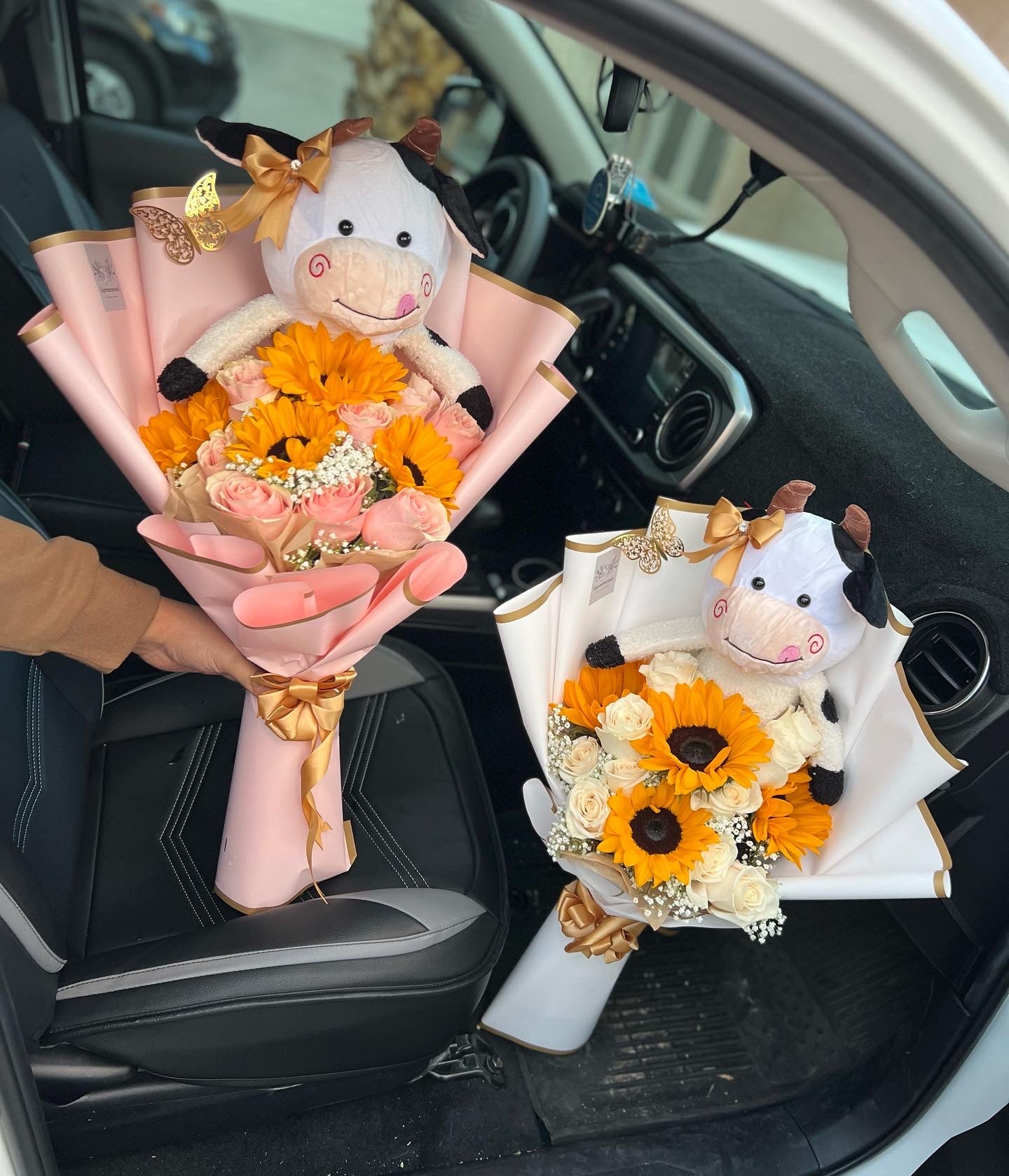 Sunflowers cow