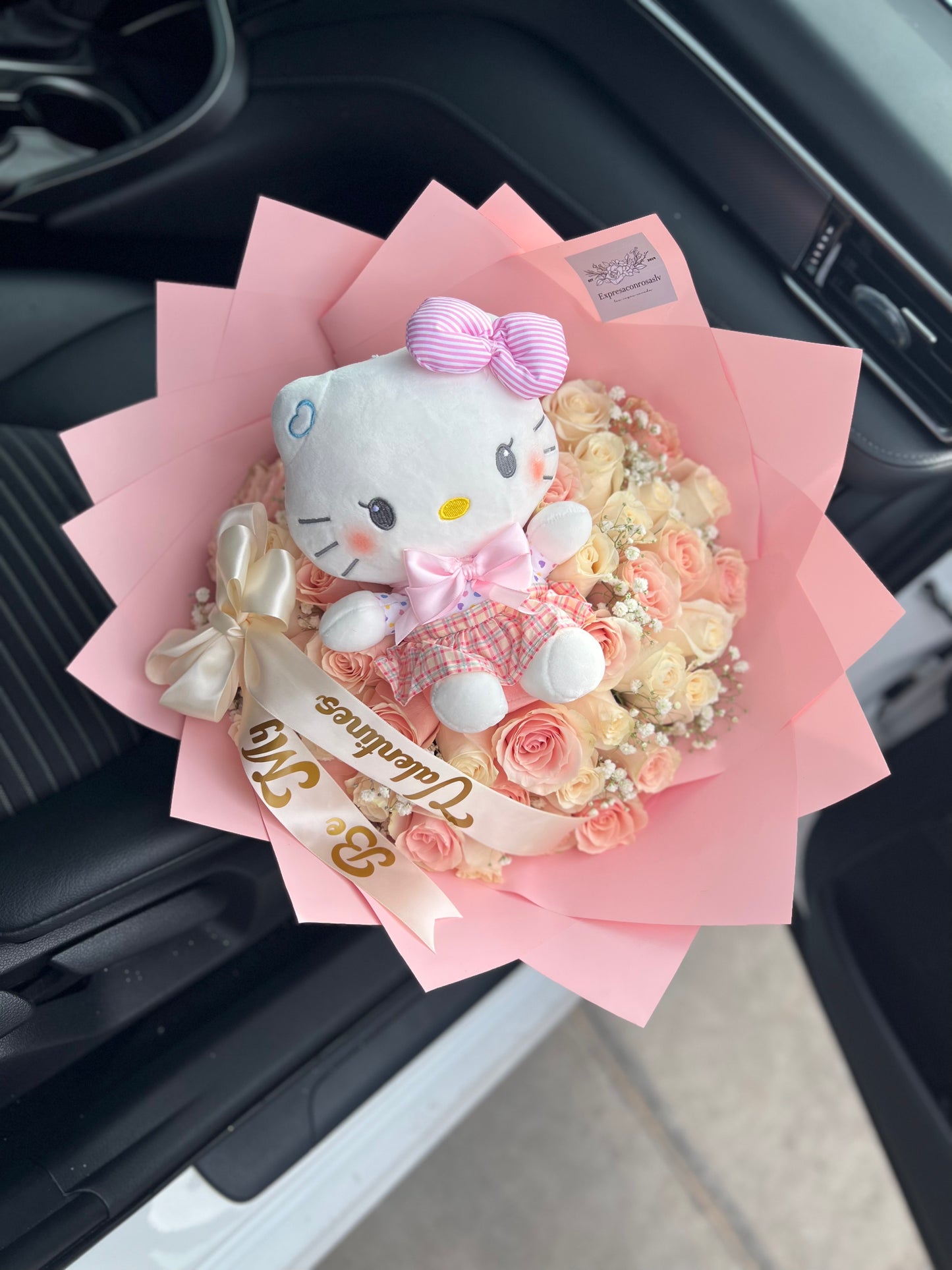 Kitty